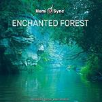 Enchanted Forest