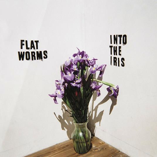 Into the Iris - Vinile LP di Flat Worms