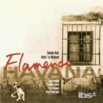 Flamenco Havana