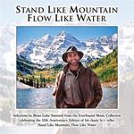 Stand Like Mountain, Flow Like Water