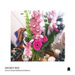 Secret Boy (Doublemint Green Vinyl)