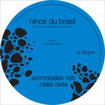 Aromobates ndb Ep