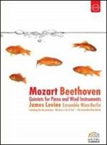 Beethoven & Mozart. Quintets for Piano & Wind Instruments (DVD)