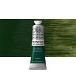 Colore A Olio Winton Winsor & Newton 37ml – Verdigris Scuro