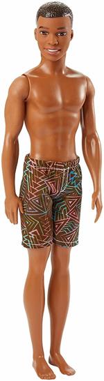 Mattel DWK07. Barbie. Spiaggia. Ken