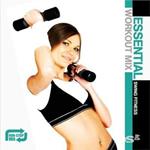 Essential Workout Mix: Swing Fitness