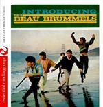 Beau Brummels (The) - Introducing