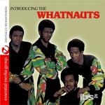 Introducing Whatnauts