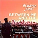 Between Me and the World