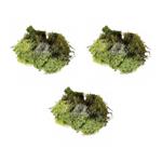 Offerta 3 Lichene Verde Per Presepe 30 Gr