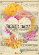 Lettere d'amore