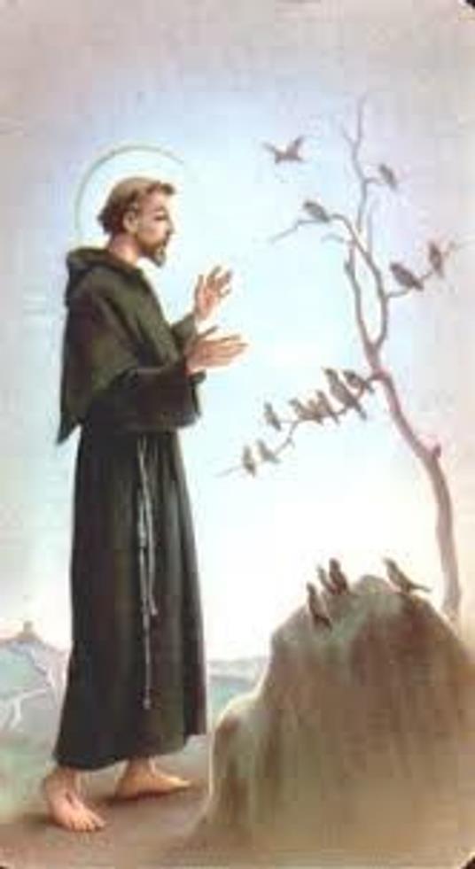 I fioretti di San Francesco - Anonimo - ebook