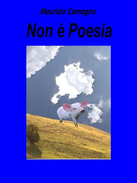 Non è poesia - maurizio camagna - ebook