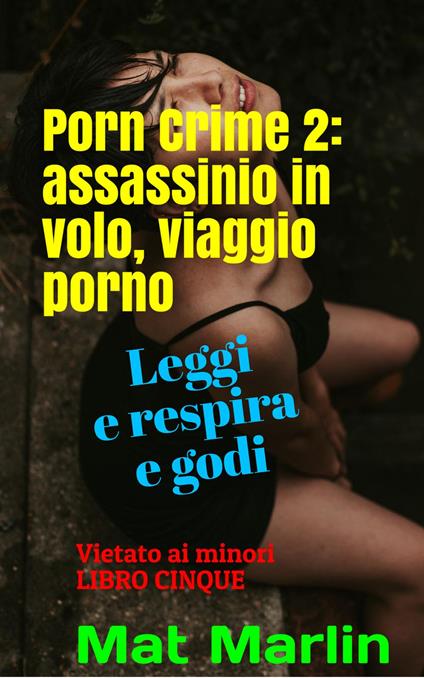 Porn Crime 2: Assassinio in volo, viaggio porno - Mat Marlin - ebook