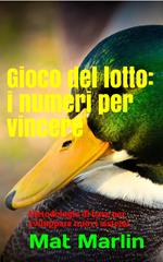 Gioco del lotto: i numeri per vincere