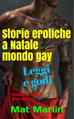 Storie erotiche a Natale mondo gay