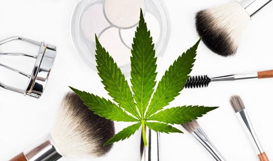 Applicazioni cosmetiche dei componenti della Cannabis sativa - Eleonora Cominelli - ebook