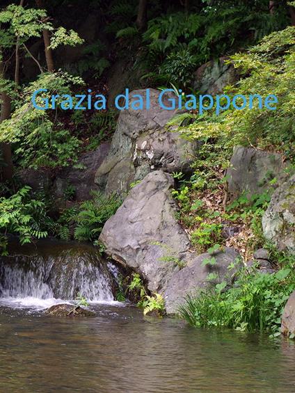 Grazia dal Giappone - haru - ebook