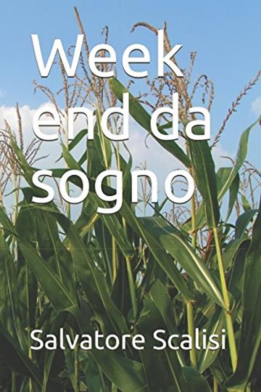 Weekend da sogno - Salvatore Scalisi - ebook