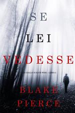 Se lei vedesse (Un giallo di Kate Wise – Libro 2)