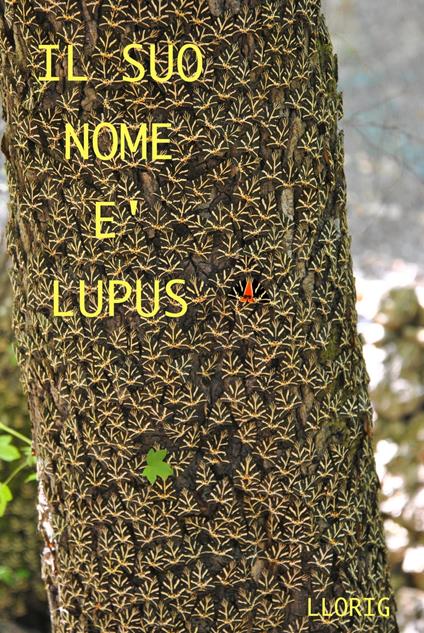 Il suo nome è LUPUS - Llorig P - ebook