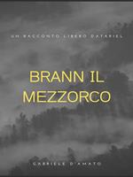 Brann il mezzorco