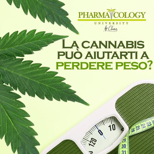 La cannabis può aiutarti a perdere peso?