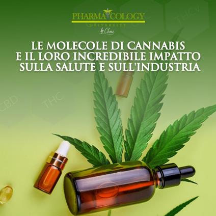 Le molecole di cannabis e il loro incredibile impatto sulla salute e sull'industria