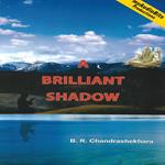 A Brilliant Shadow