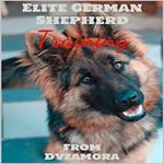 Elite German Shepherd Training