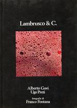 Lambrusco & Co