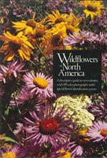 Wildflowers of North America. Easterns America. Western America