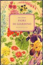 Fiori di giardino