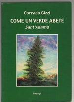 Come un verde abete