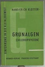 Grunalgen (Chlorophyceen)