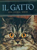 Il gatto. Vita storia magia