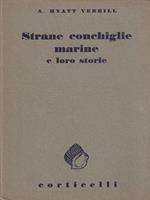 Strane conchiglie marine e loro storie