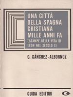 Una città della Spagna cristiana mille anni fa