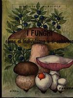 I funghi