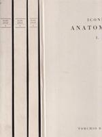 Icones Anatomicae. 4voll