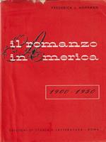 Il romanzo in America