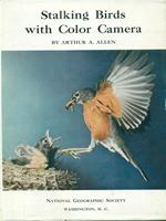 Stalking Birds with Color Camera