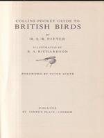 The pocket guide to British Birds