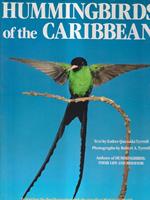 Hummingbirds of The Caribbean