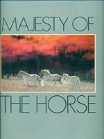 Majesty of the Horse