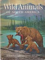 Wilde Animals of North America