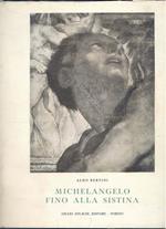 Michelangelo fino alla Sistina