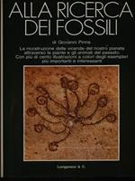 Alla ricerca dei fossili