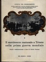 Il movimento nazionale a Trieste nella prima guerra mondiale