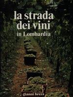 La strada dei vini in Lombardia
